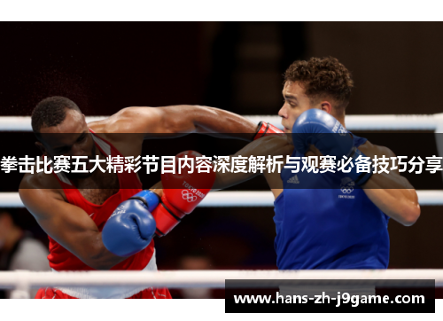拳击比赛五大精彩节目内容深度解析与观赛必备技巧分享